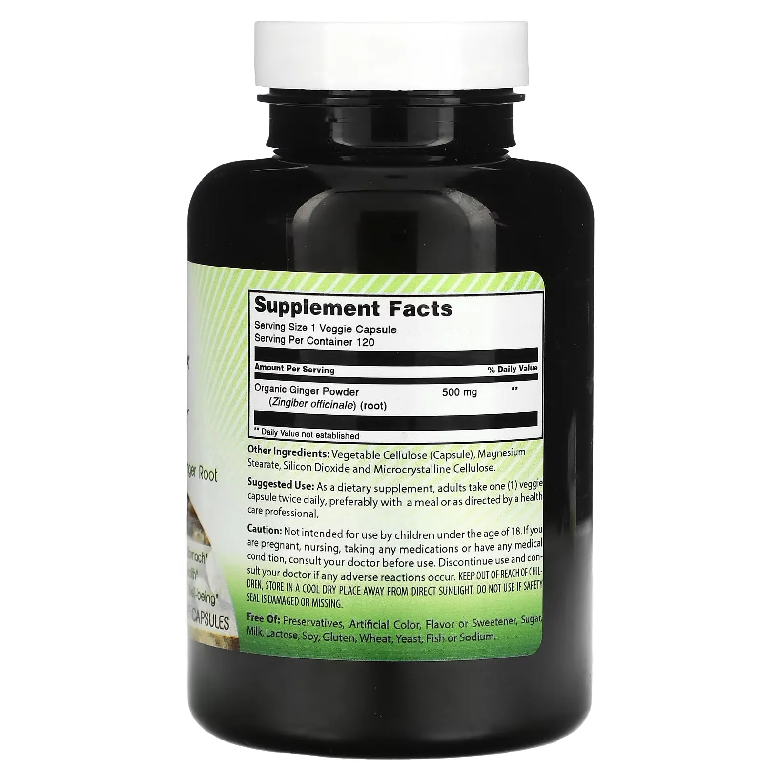 Amazing India Ginger, 500 mg, 120 Vegetarian Capsules