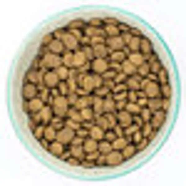 Burns Senior Plus Chicken & Brown Rice Toy & Small Breed