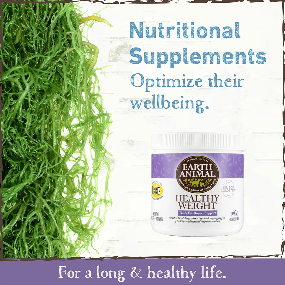 Earth Animal Healthy Weight Nutritional Supplement Powder for Cats & Dogs