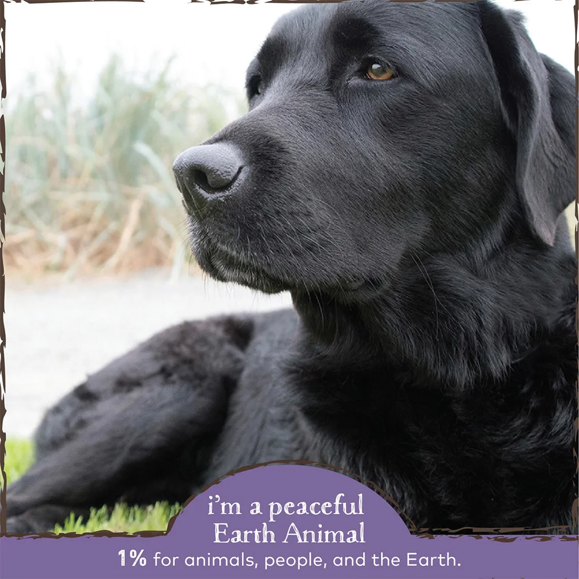 Earth Animal Organic Herbal Remedies No More Runs Tincture for Dogs