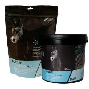Equine Digest-Aid Plus 