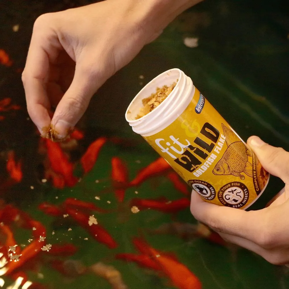 Interpet 45g Fit & Wild Goldfish Flake Fish Food