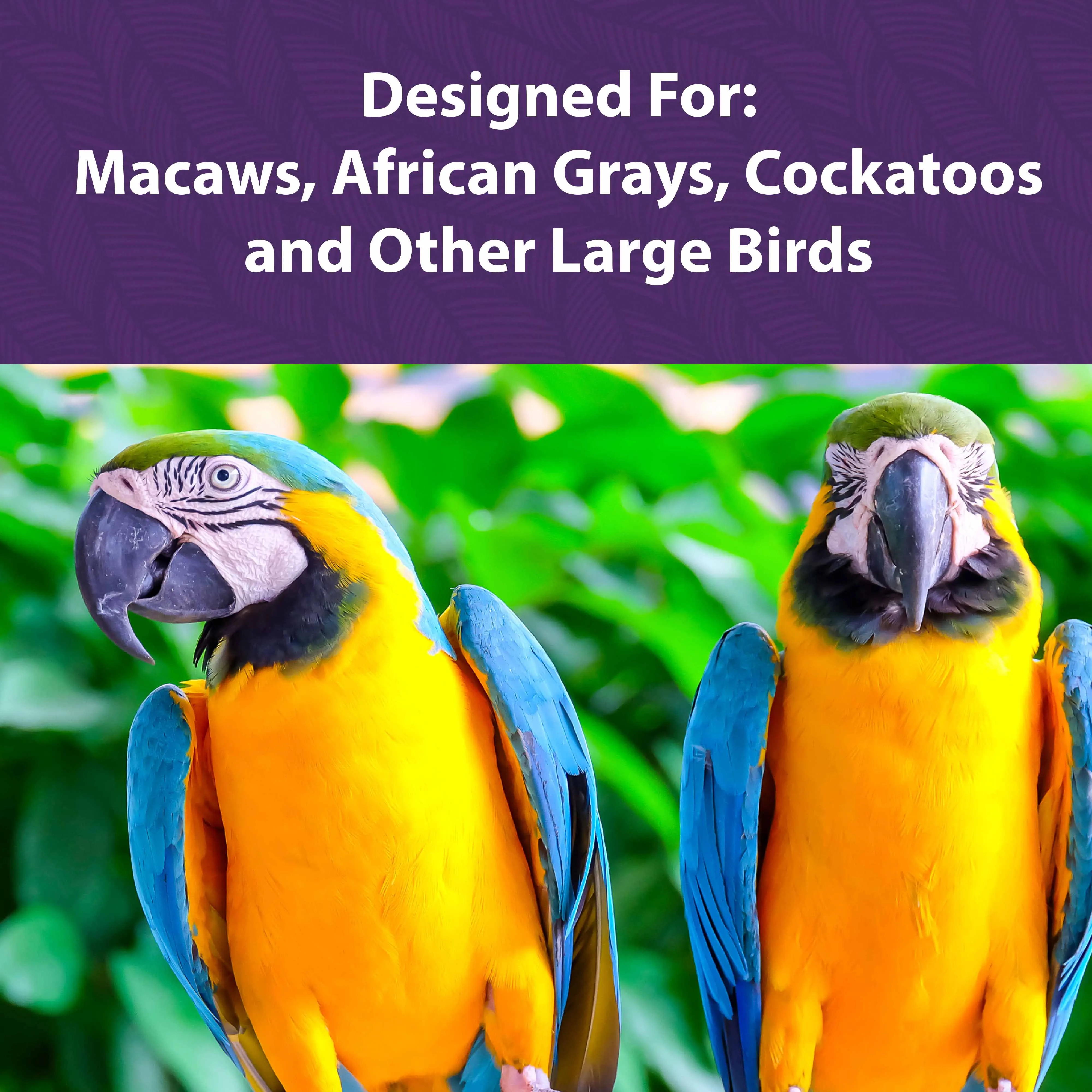 Mazuri® Large Bird Diet