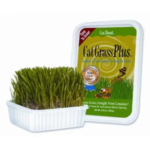 MIRACLE CARE - Single Cat Grass Plus - 5.25 oz. (150 Grams)