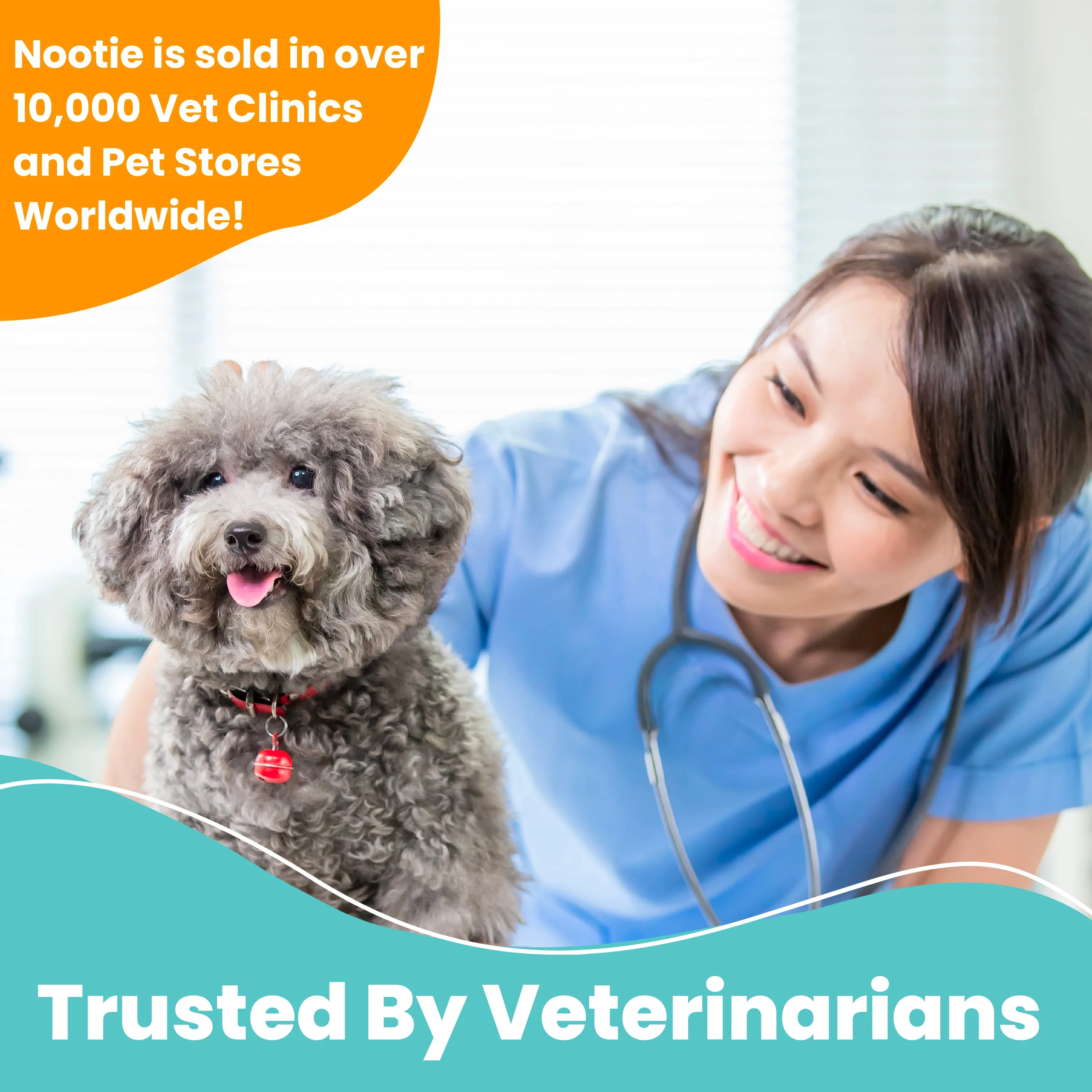 Progility Tear Stain Eye Support Soft Chew Supplement for Dogs | Advanced Eye Health Formula
