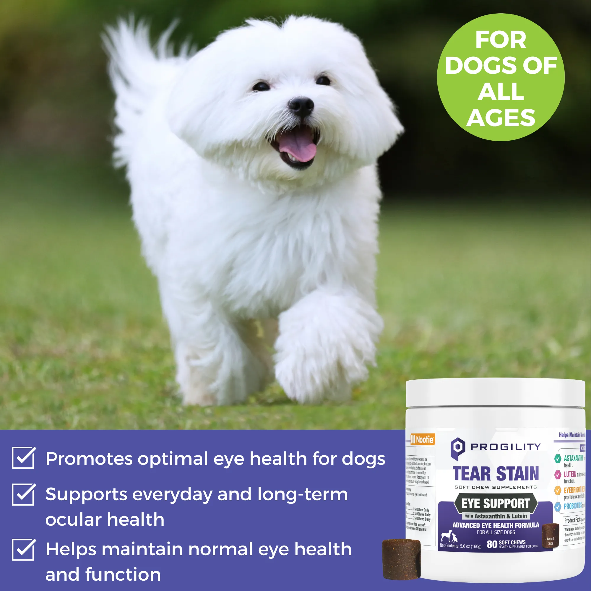 Progility Tear Stain Eye Support Soft Chew Supplement for Dogs | Advanced Eye Health Formula
