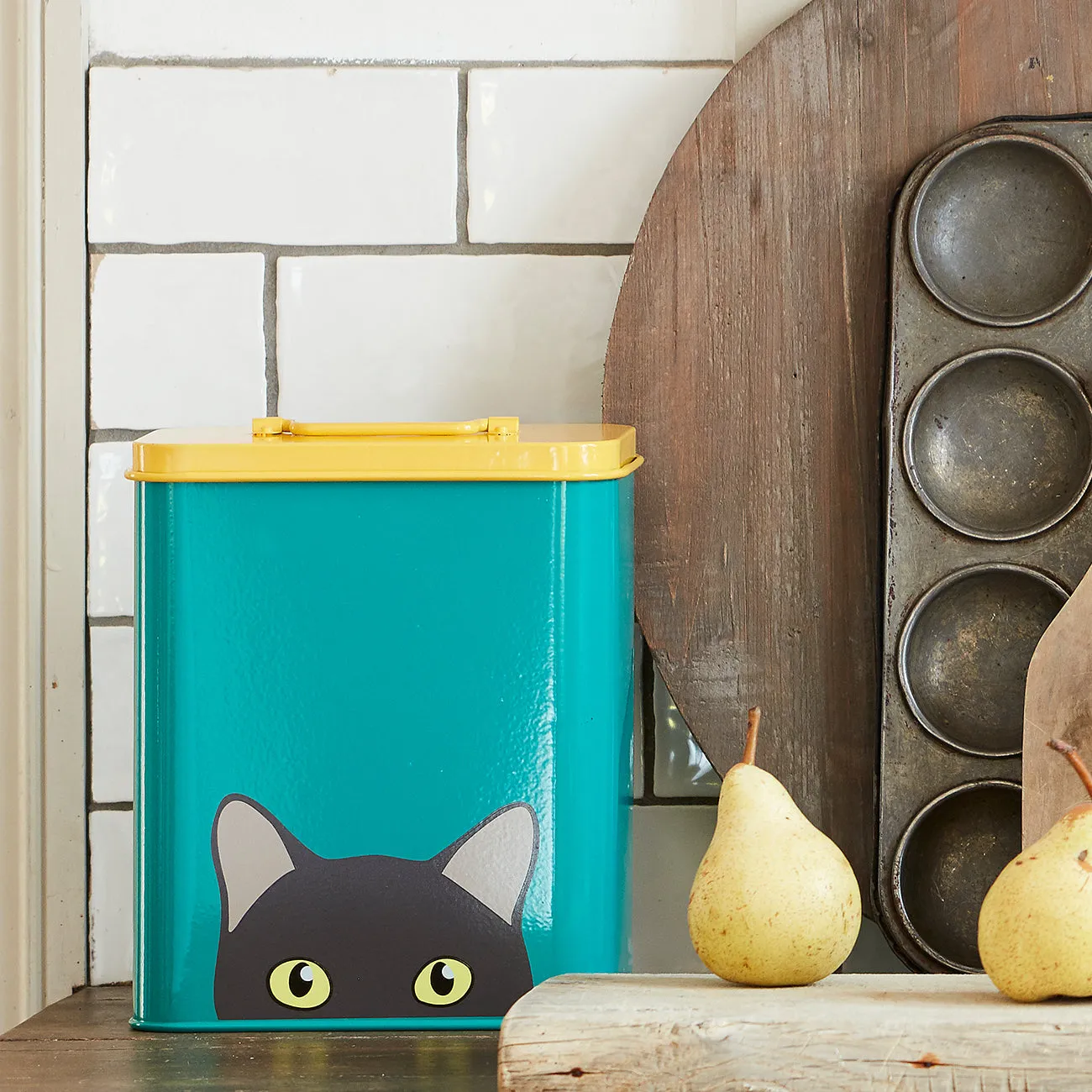 "Doris" Cat Tin