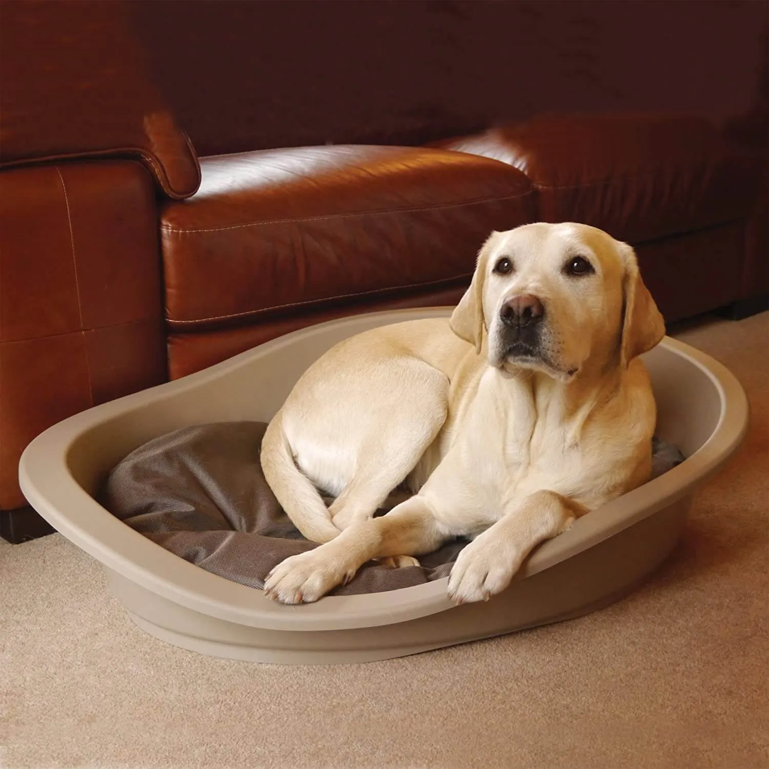 Rosewood Sonny Plastic Dog Bed