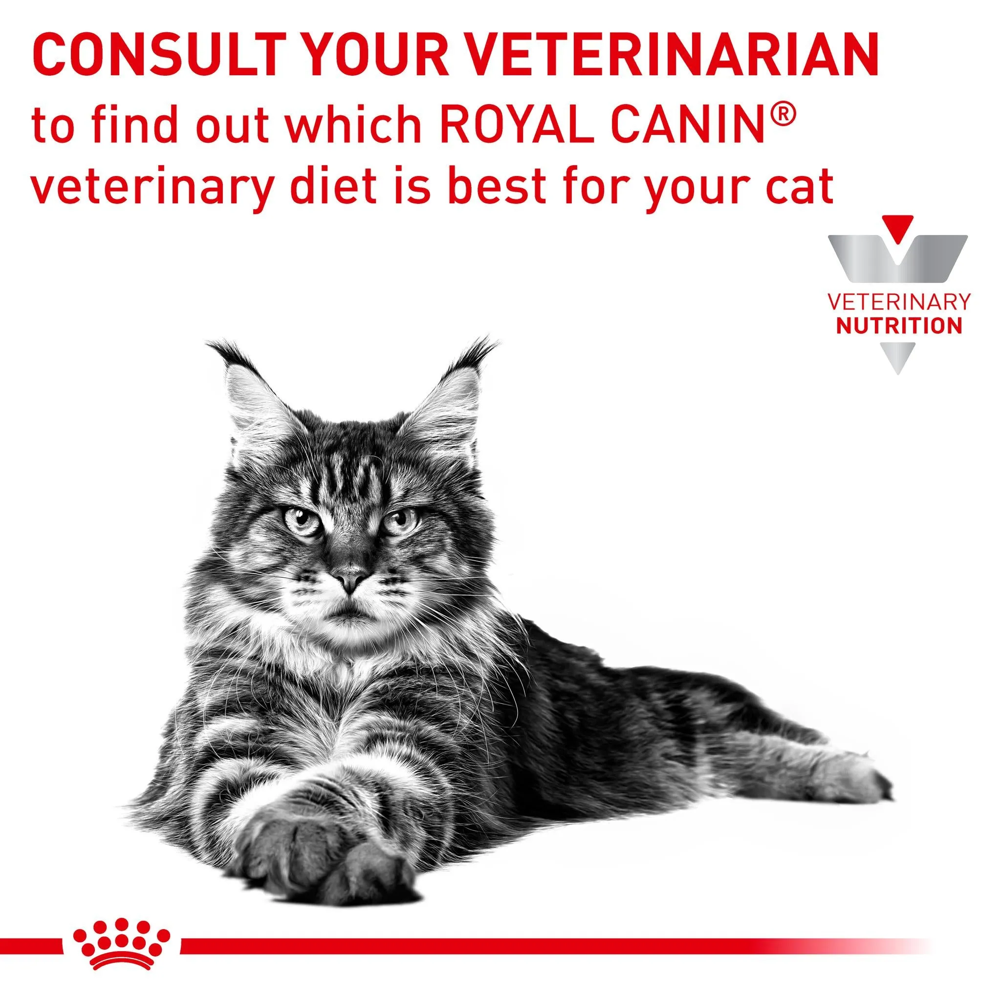 Royal Canin Veterinary Diet Sensitivity Control Adult Dry Cat Food