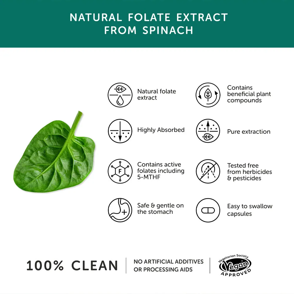 Together Health Folate
